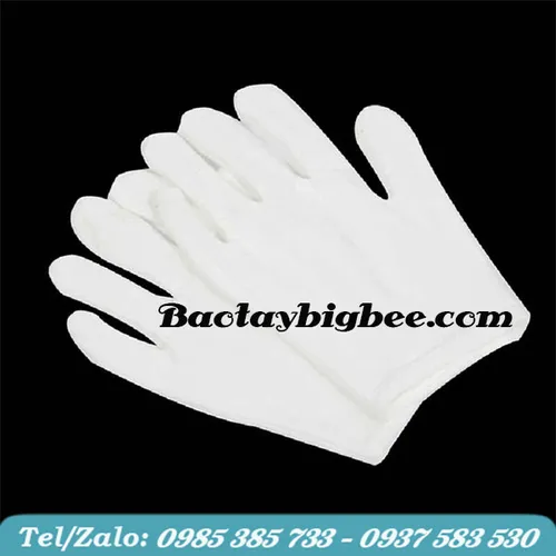 BAO TAY THUN TRẮNG COTTON GIÁ SỈ