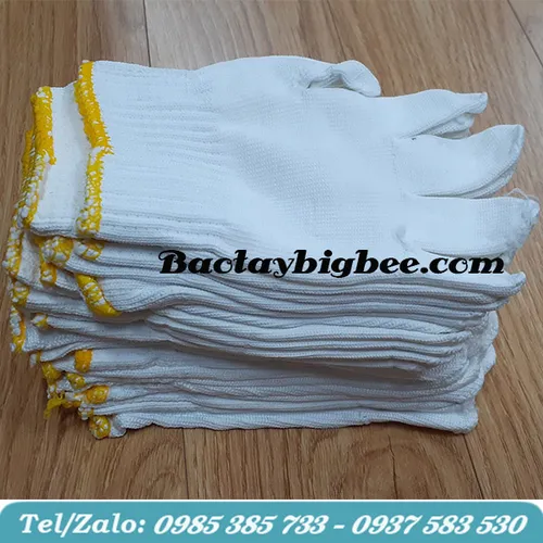 BAO TAY THUN TRẮNG POLLY CÁC LOẠI 100% - 02