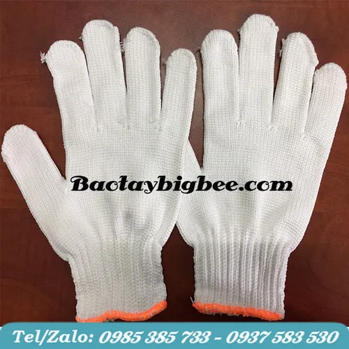 BAO TAY THUN TRẮNG POLY 100% - 01