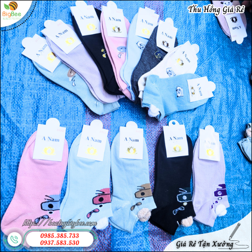 Thu Hồng – Địa Chỉ Bỏ Sỉ Vớ Cổ Ngắn Uy Tín Giá Tốt. Thu Hồng – Địa Chỉ Bỏ Sỉ Vớ Cổ Ngắn Uy Tín Giá Tốt.