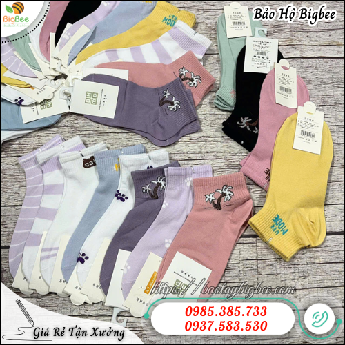 Vớ nữ cổ ngắn sỉ rẻ – Nhập càng nhiều giá càng tốt. Vớ nữ cổ ngắn sỉ rẻ – Nhập càng nhiều giá càng tốt.