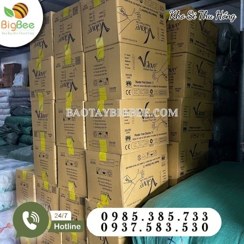 Thu Hồng kho sỉ găng tay y tế Vglove chính hãng giá rẻ Thu Hồng kho sỉ găng tay y tế Vglove chính hãng giá rẻ