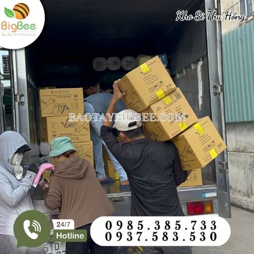 Hoạt động lên hàng giao sỉ găng tay y tế Vglove tận nơi cho khách Hoạt động lên hàng giao sỉ găng tay y tế Vglove tận nơi cho khách