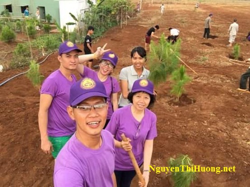 nguyễn thị hường