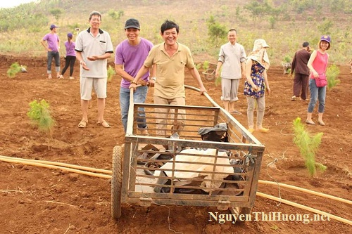 nguyễn thị hường