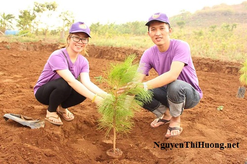 nguyễn thị hường