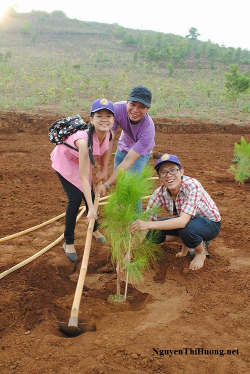 nguyễn thị hường