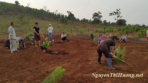 nguyễn thị hường