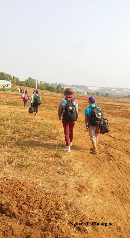 nguyễn thị hường