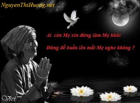 nguyễn thị hường