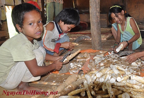 nguyễn thị hường