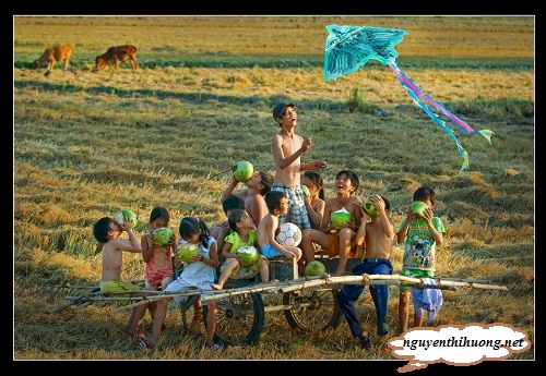 nguyễn thị hường