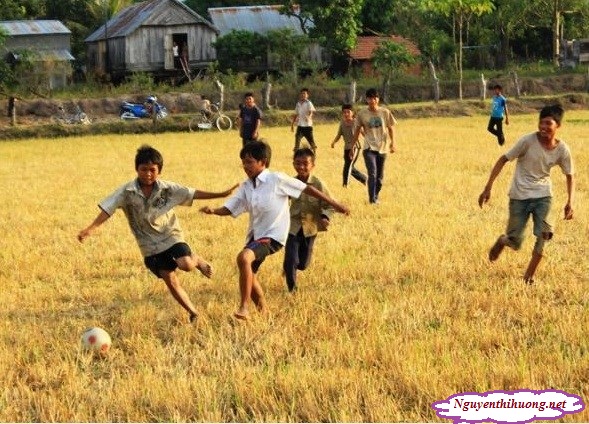 nguyễn thị hường