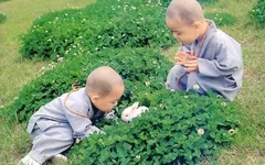 Có hai thứ cha mẹ cần trang bị cho con cái, và chỉ hai thứ đó là đủ