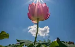 PHIỀN NÃO GIÚP CHÚNG TA HOÀN THIỆN BẢN THÂN