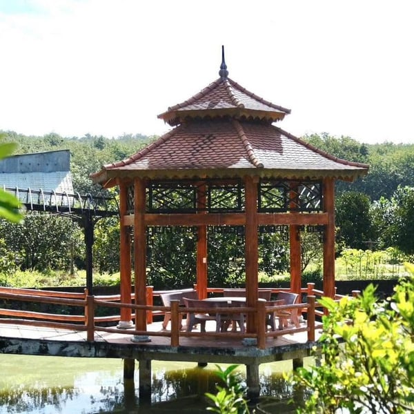 Bán trang trại 2,8 ha nghỉ dưỡng Yến Sào Hoài Thanh, Bình Phước