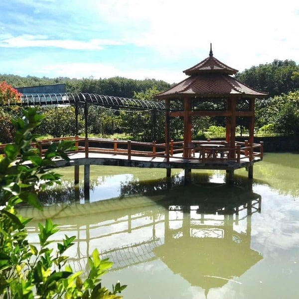 Bán trang trại 2,8 ha nghỉ dưỡng Yến Sào Hoài Thanh, Bình Phước