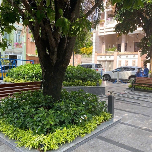 Bán biệt thự Nguyễn Trọng Tuyển, P10, Quận Phú Nhuận