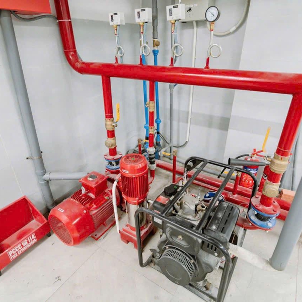 Bán nhà mặt tiền Quang Trung, P. Thông Tây Hội, Quận Gò Vấp