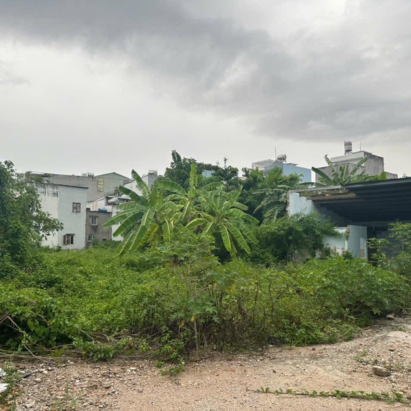 Bán Đất mặt tiền Kênh Tân Hóa, P. Tân Thới Hoà, Quận Tân Phú