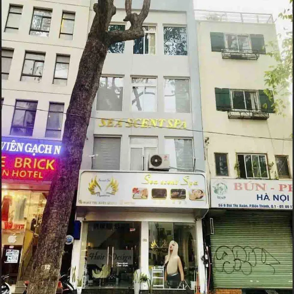 Cần bán nhà mặt tiền đường BÙI THỊ XUÂN QUẬN 1