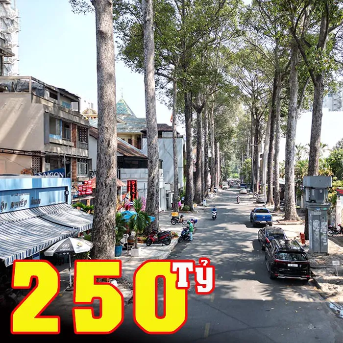 Bán nhà mặt tiền đường SƯƠNG NGUYỆT ANH