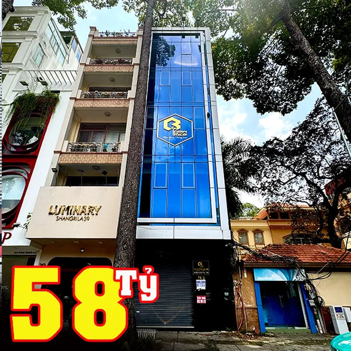 BÁN TOÀ NHÀ MẶT TIỀN ĐƯỜNG SƯƠNG NGUYỆT ANH - QUẬN 1