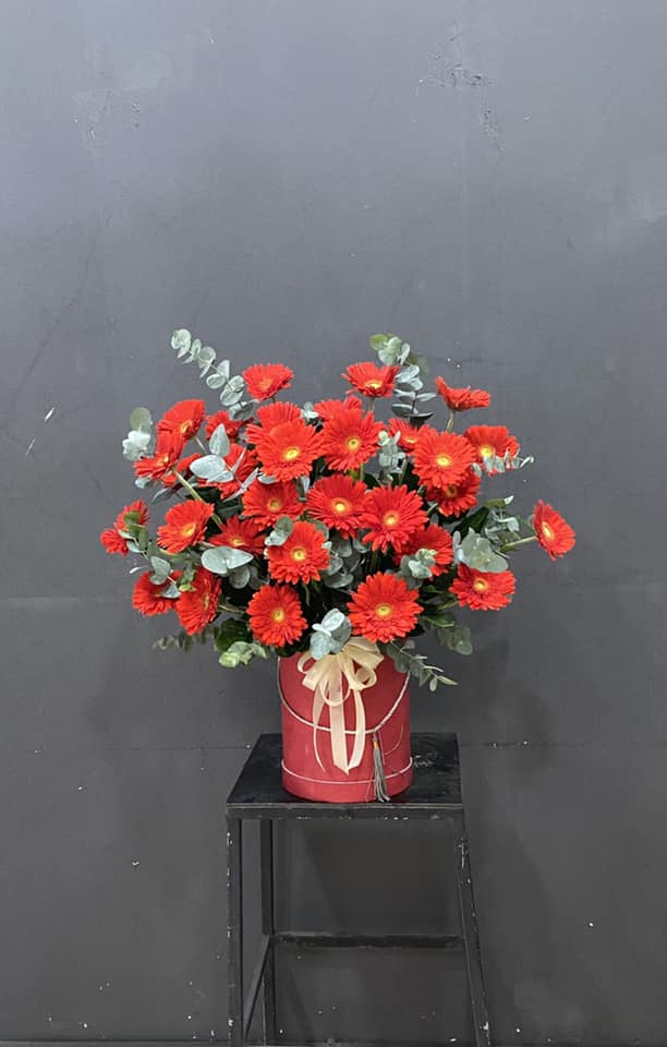 Giỏ hoa đồng tiền tặng khai trương