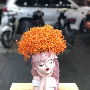 BÌNH HOA BÚP BÊ BABY KHÔ MÀU CAM