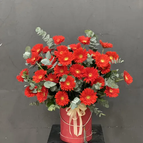 GIỎ HOA ĐỒNG TIỀN ĐỎ- HG012