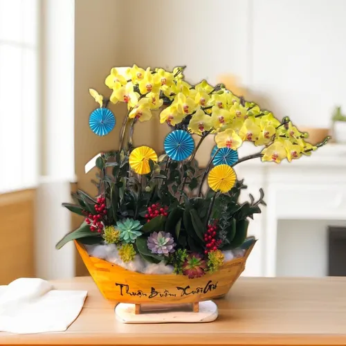 CHẬU LAN HỒ ĐIỆP THUẬN BUỒM XUÔI GIÓ - LHD001