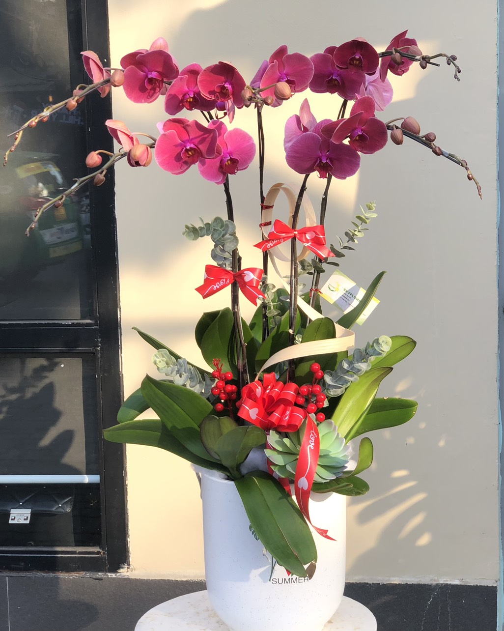 Chậu lan hồ điệp 5 cành