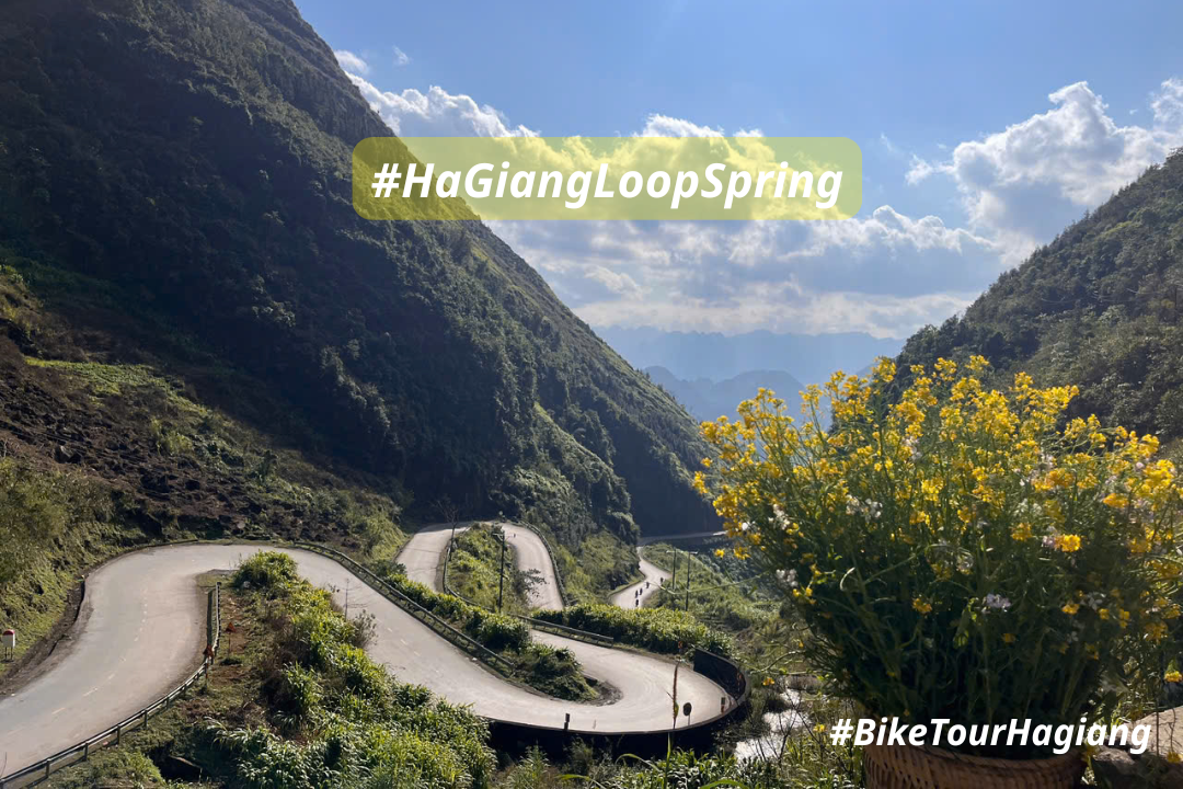 Ha Giang Loop in Spring - best time ever