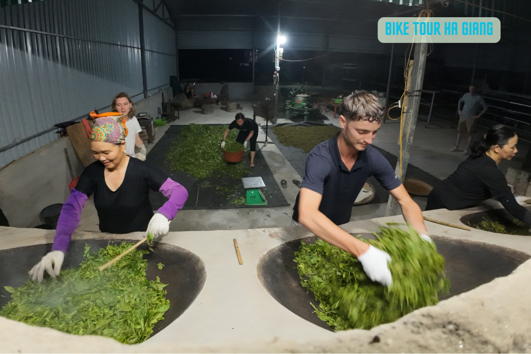 AUTHENTIC EXPERIENCES