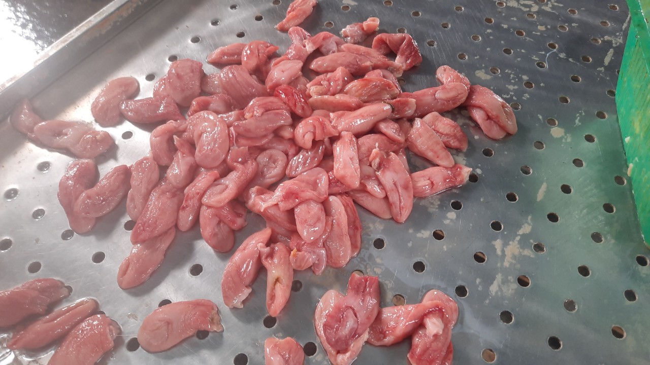 Chọn nguyên liệu bao tử cá basa.