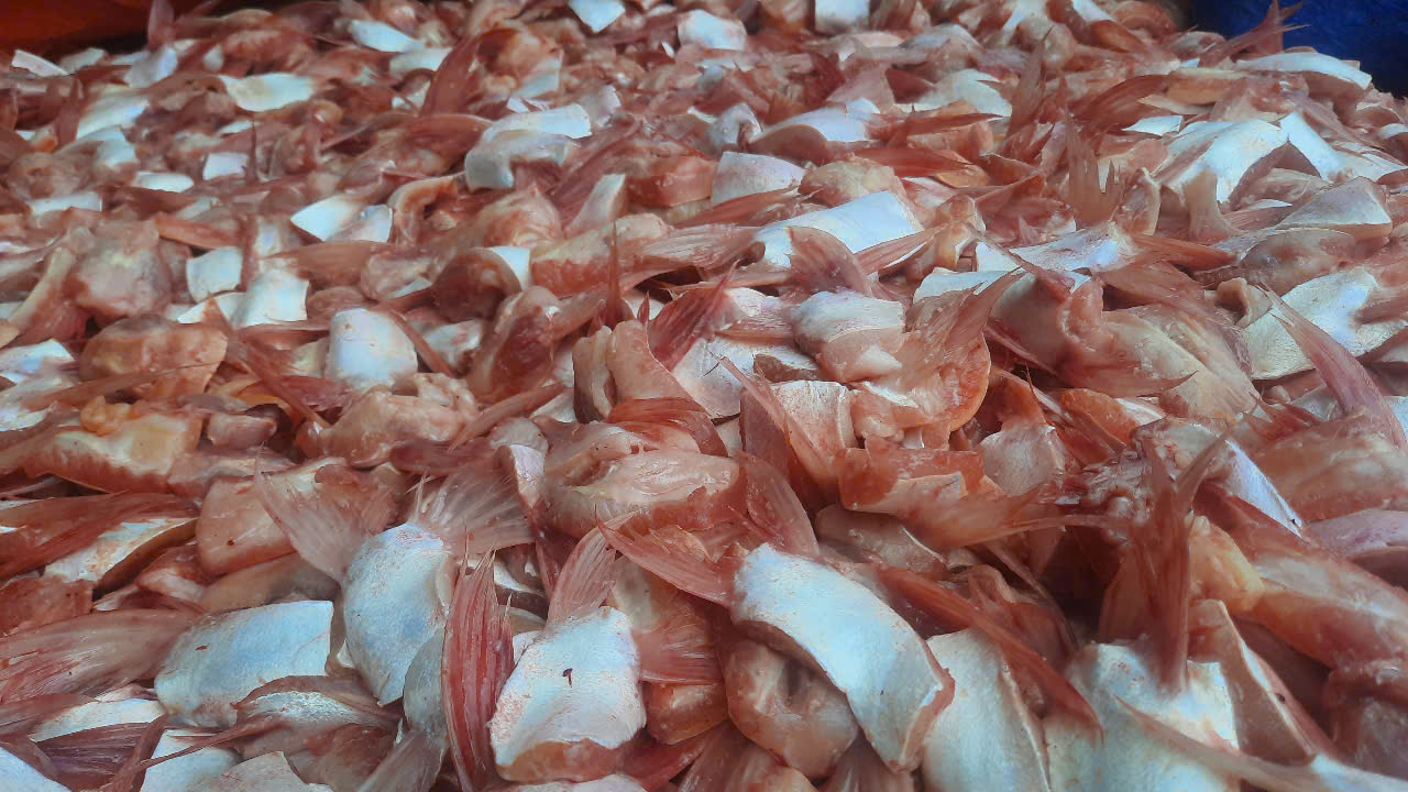 Ở đâu cung cấp vi ức cá tra cá basa tươi & đông lạnh.