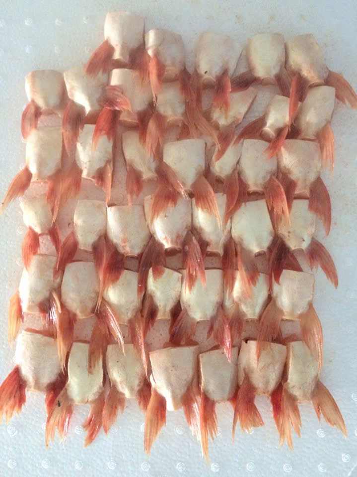 Đóng gói, bảo quản vi ức cá tra cá basa