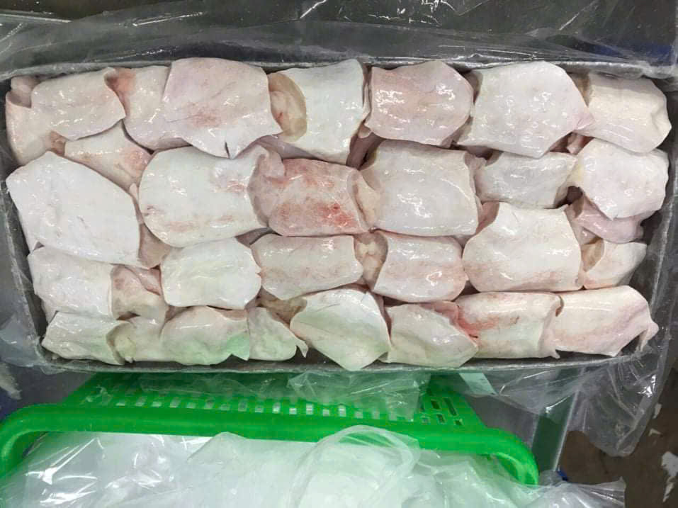 Vi ức chợ cá tra cá basa tươi & đông.