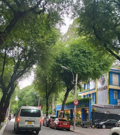 Bán nhà 100 Nguyễn Du, Phường Sài Gòn, TP.HCM