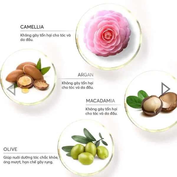 Gel Gội Phủ Bạc Tsubaki & Vitamin B5 Flash (500ml)