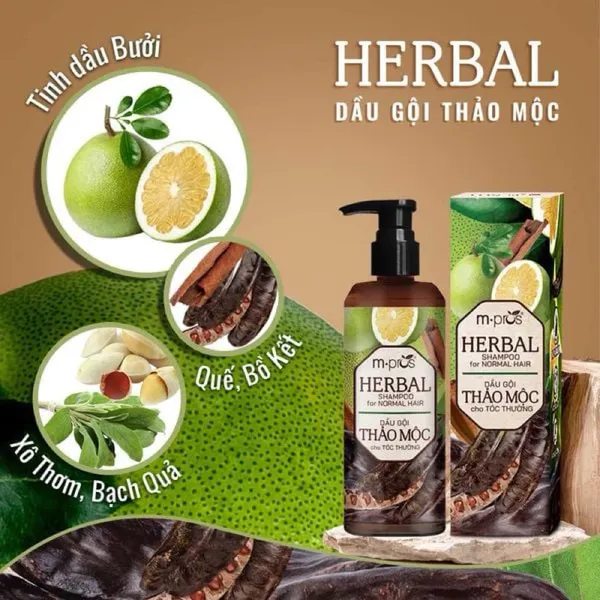 Dầu gội thảo mộc Mpros