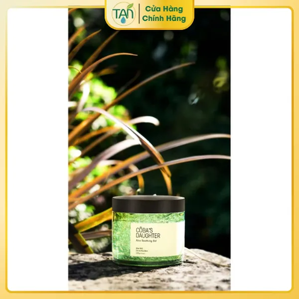 Gel Dưỡng Da Nha Đam Hương Dừa Aloe Soothing Gel