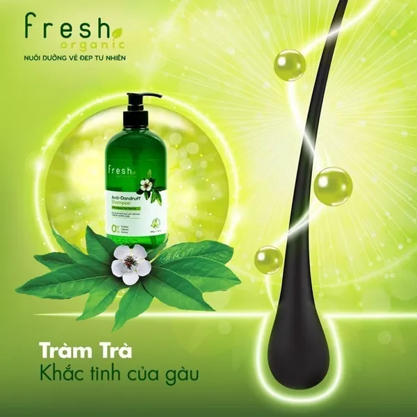 Dầu gội Fresh Organic Tràm Trà 500gDầu gội Fresh Organic Tràm Trà 500g