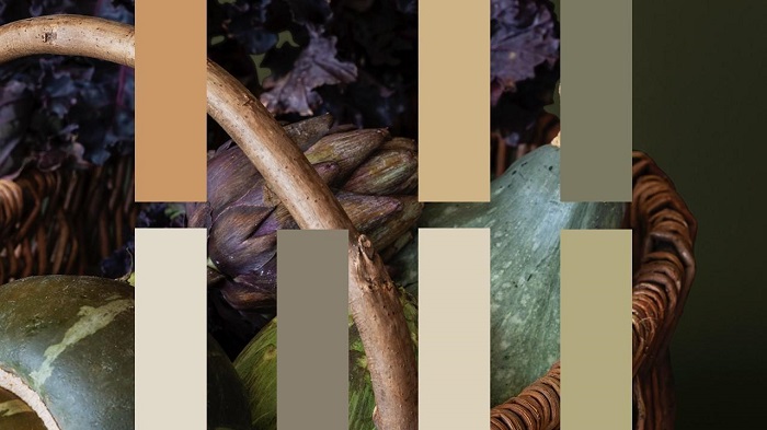 Cùng Jotun bùng nổ xu hướng màu nội thất với “Chuyện Sắc Màu” 2023 - 4 Cùng Jotun bùng nổ xu hướng màu nội thất với “Chuyện Sắc Màu” 2023 - 4