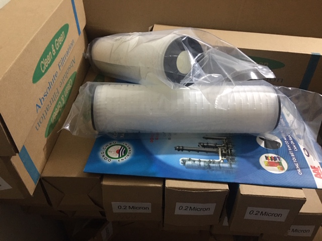 MP - 0.2 micron - 10 inch, DOE Clean Green Hàn Quốc 0.2µm 10-inch DOE Lõi lọc giấy xếp hai đầu bằng