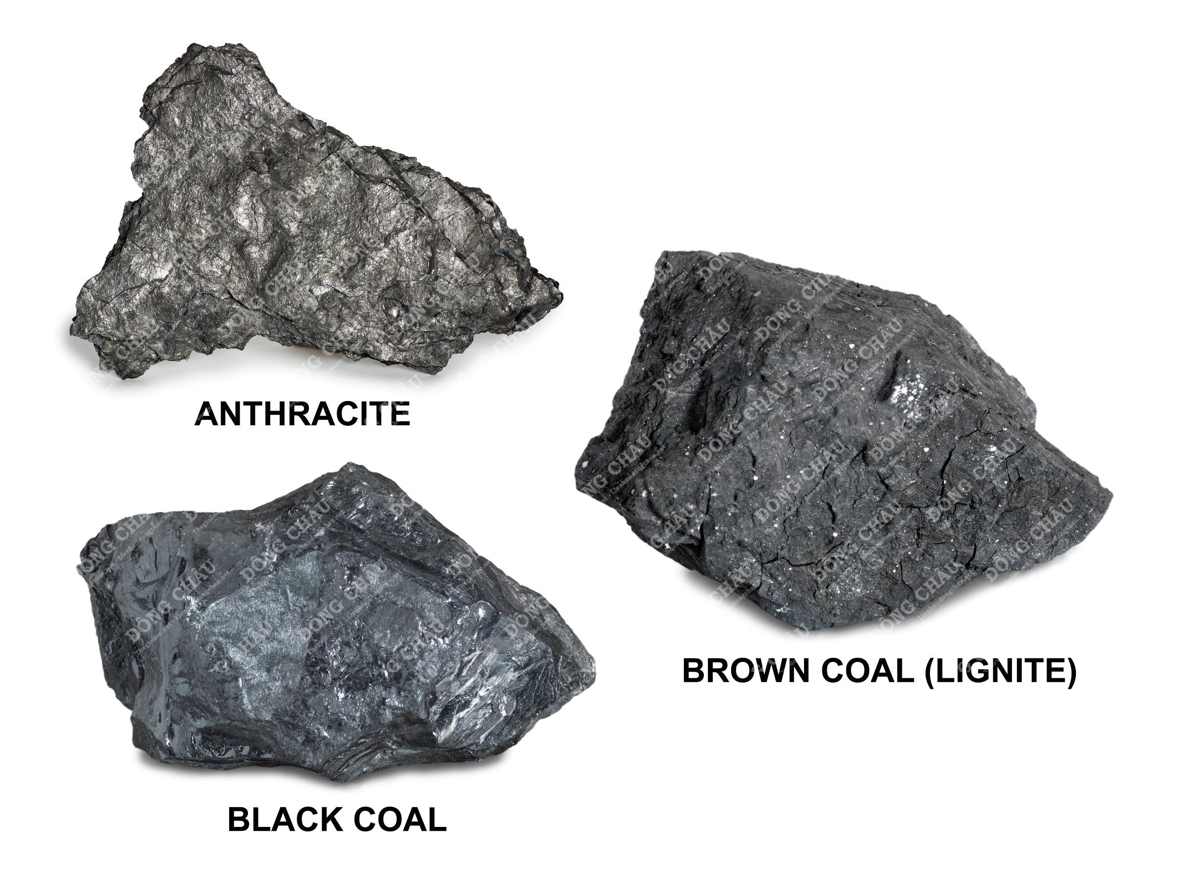 Phân biệt các loại than Anthracite, than đen, than nâu (than non)