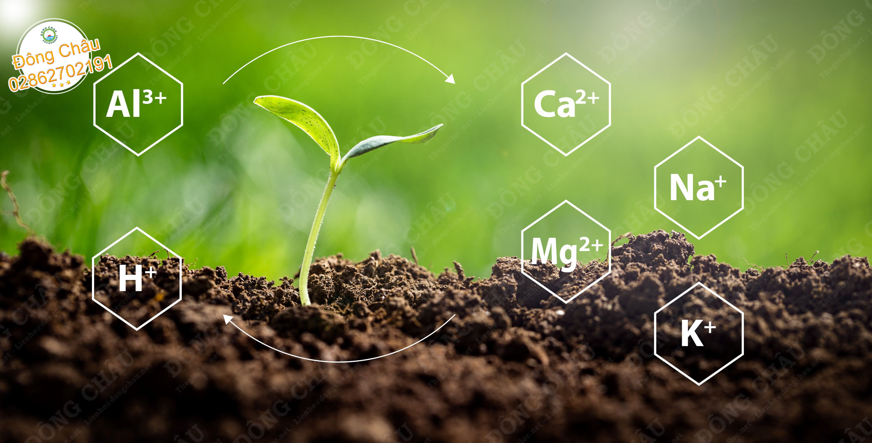 Khái niệm về sự cân bằng ion cation và anion trong đất đối với năng suất cây trồng