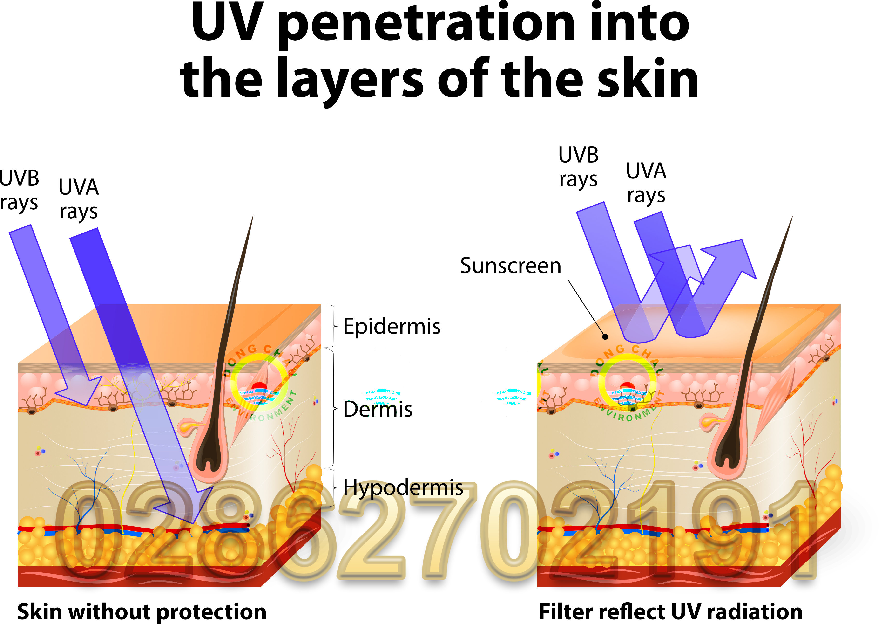 cách tia uv xâm nhập vào bên trong cơ thể người đứng gần