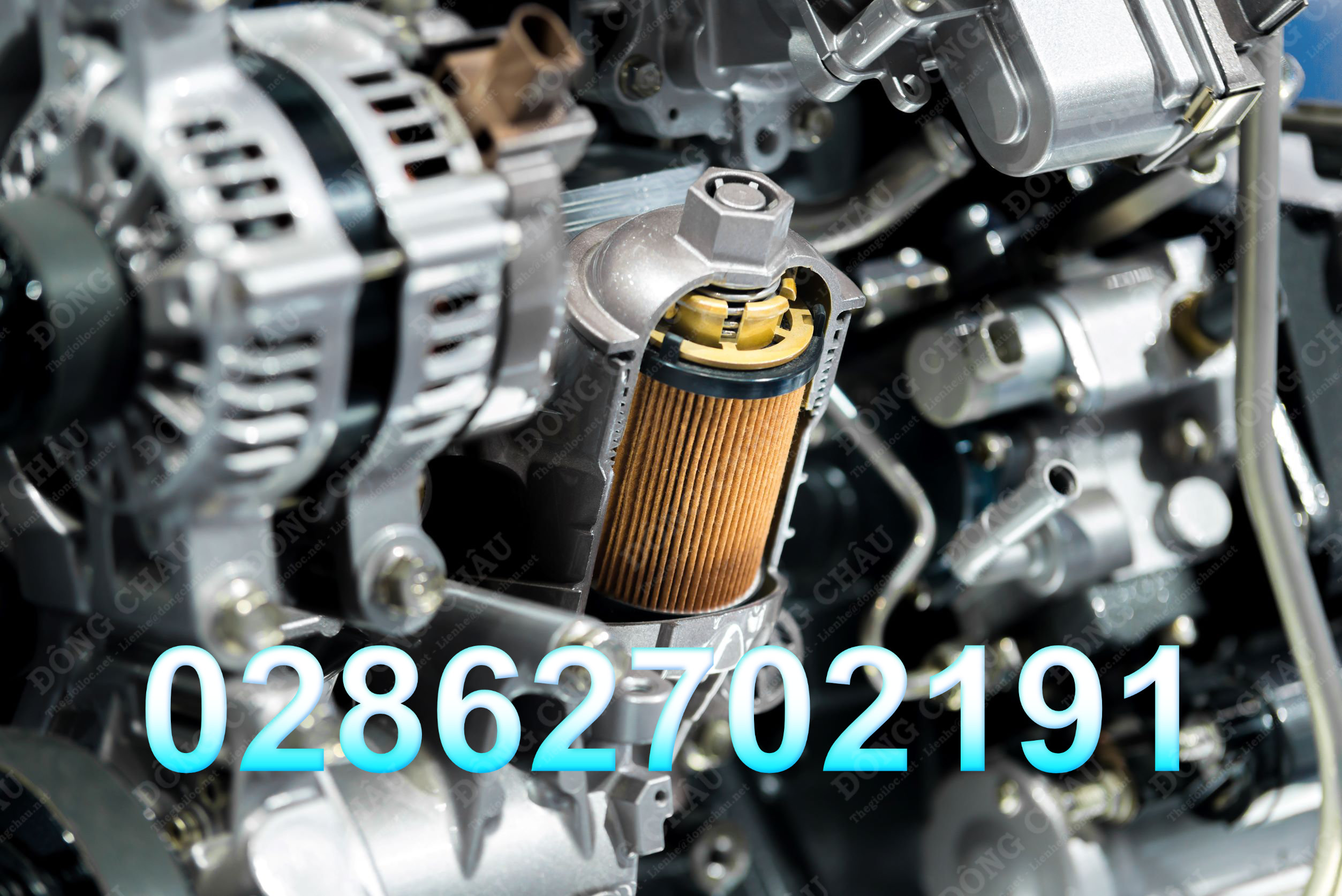 Mặt cắt ngang bộ lọc dầu động cơ bên trong động cơ máy của xe