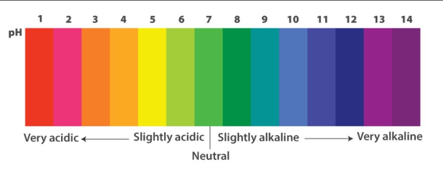 thang đo pH của giấy quỳ